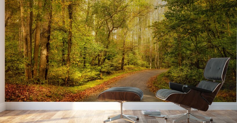 Backroads of Appalachia in Autumn Wall Murals