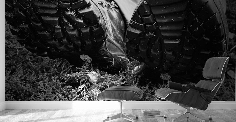 Scenes from the Trail- Resting Too Wall Murals