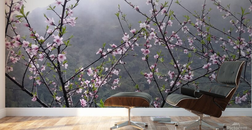 MEDITATION - 1.4 – Free Shipping Wall Murals