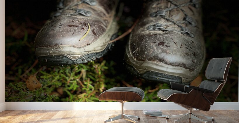 Scenes from the Trail- Muddy Boots Wall Murals