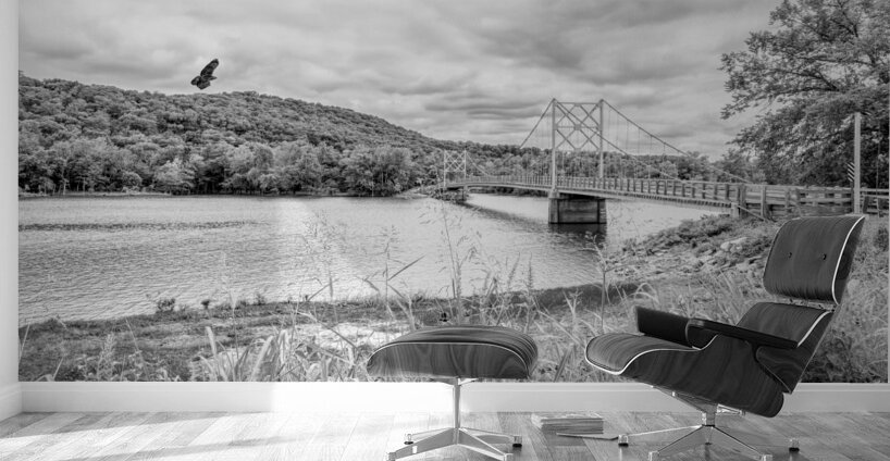 Hawk Over Little Golden Gate Grayscale Wall Murals