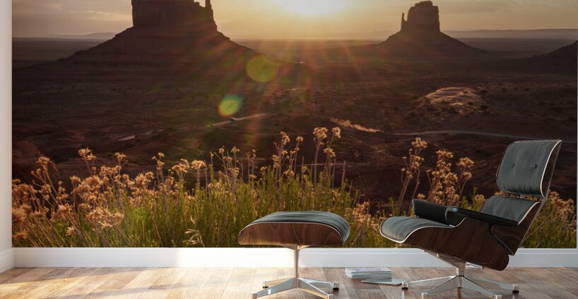 Yellow Flowers Monument Valley Sunrise Wall Murals