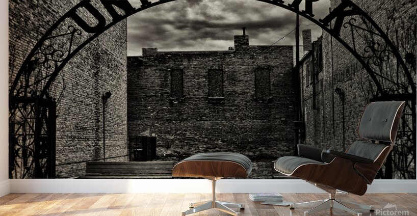 Unity Park - Michigan Wall Murals