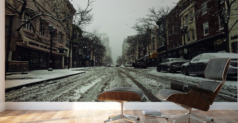 Icy Road Wall Murals