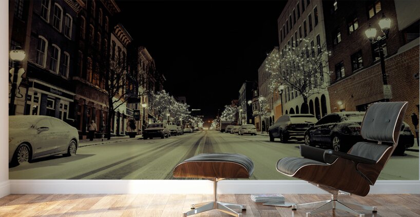 Quiet Night Wall Murals