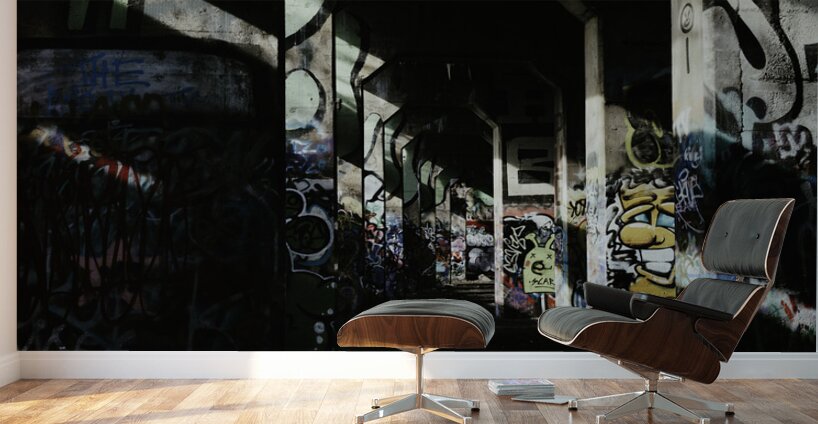 Shadows in Art Wall Murals