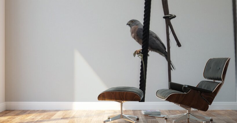 Ecuador 9 0830 Wall Murals