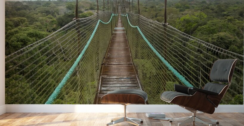 Ecuador 9 0813 Wall Murals