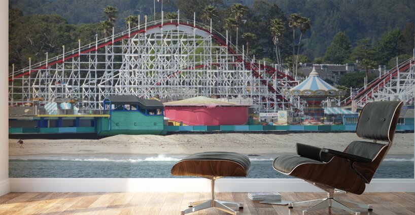 DSCN6135 Wall Murals