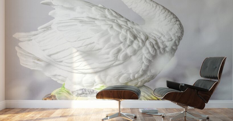 White swan Wall Murals