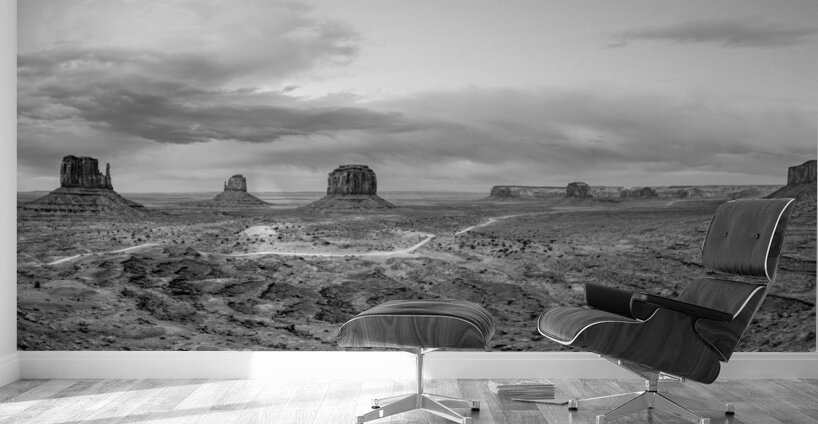 Evening At Monument Valley Pano Grayscale Wall Murals