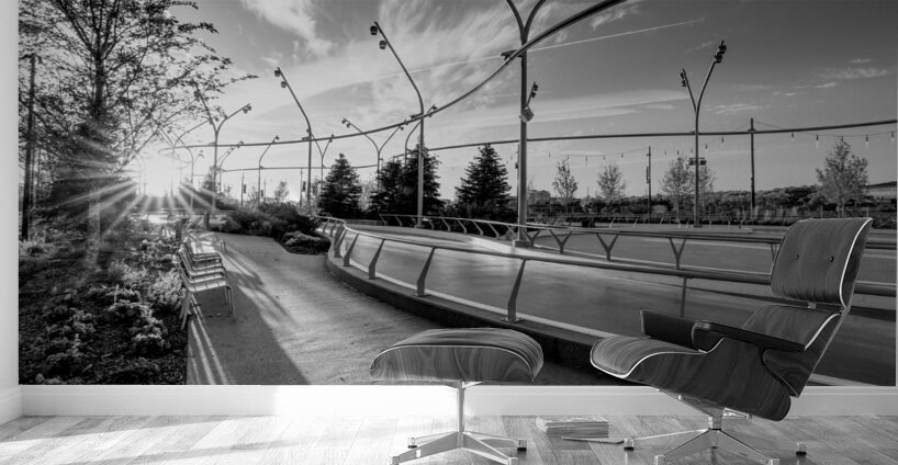 Omaha Skate Park Golden Sun Star Grayscale Wall Murals