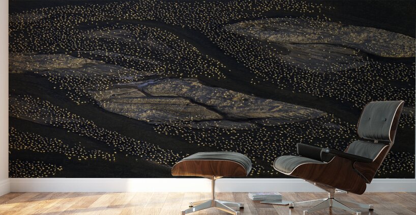 SANDBARS AND SANDHILL CRANES Wall Murals