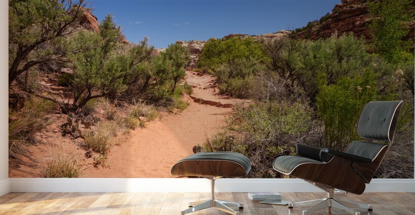 Pathway Through Grand Staircase Escalante Wall Murals