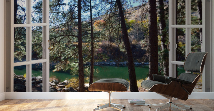 Sandy River Bank Afternoon Walk Wall Murals