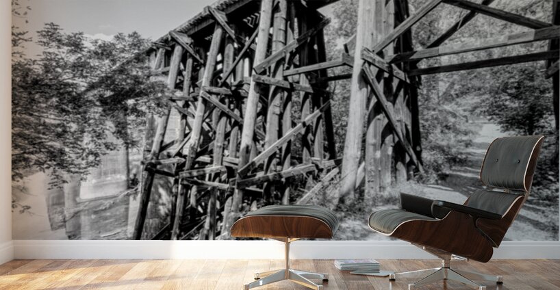Path Under Old Railroad Bridge Grayscale Wall Murals