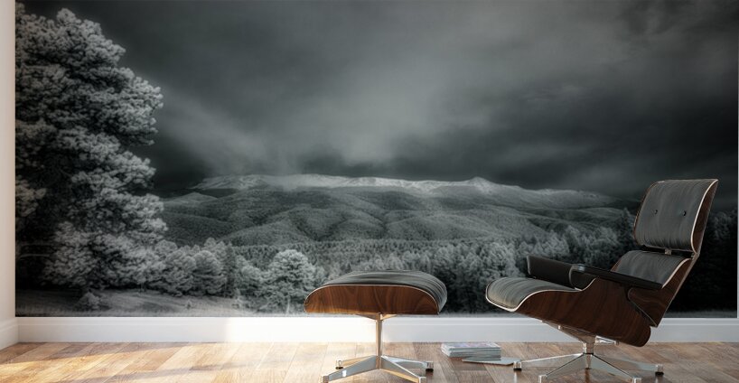 Muellers Mystique Wall Murals