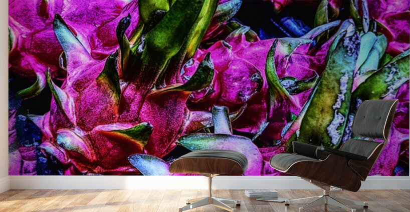 Dragon Fruit Wall Murals