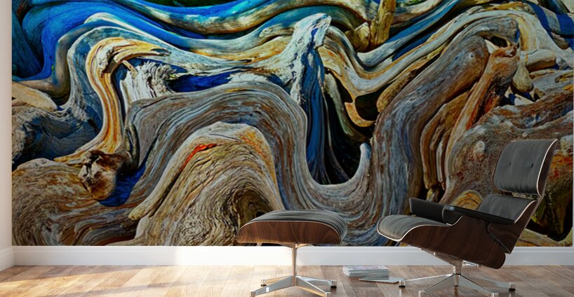 Drifted and Twisted Wall Murals