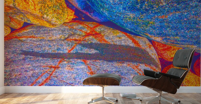 Planet Rocks Wall Murals