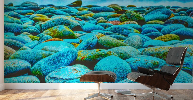 Viking Shore Wall Murals