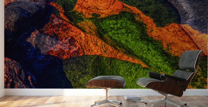 Jurassic Bird in Orange Wall Murals