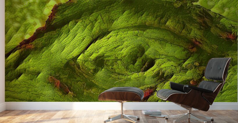 Dragon Eye Wall Murals