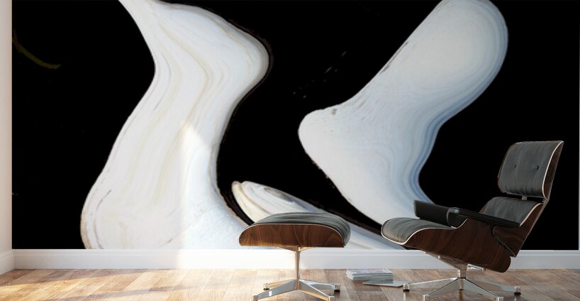 The Dancers Wall Murals