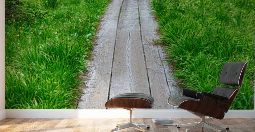 Wooden Forest Path Wall Murals