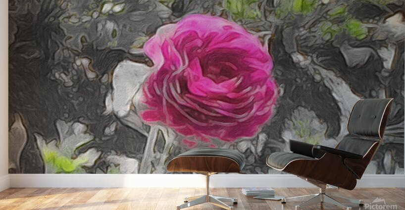 pink rose Wall Murals