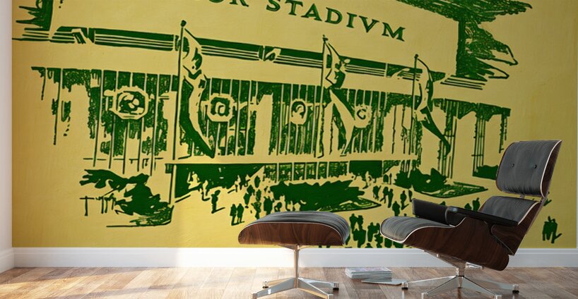Vintage 1950s Baylor Stadium Art Wall Murals