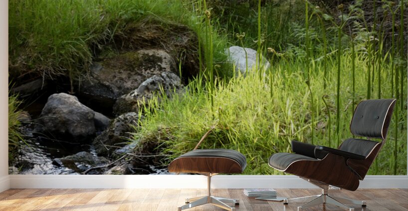 Scottish Highlands Summer Nature Walk Wall Murals