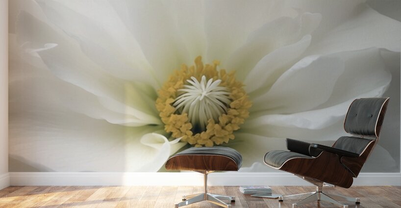 Twisted Florals  1 of 3 Wall Murals