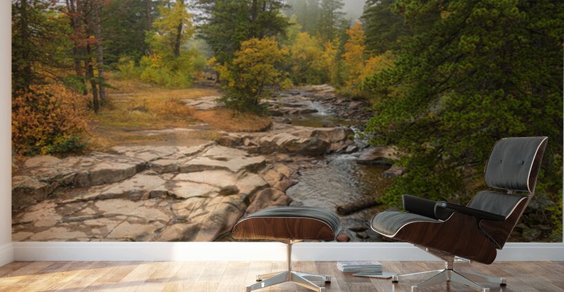 Upstream St Vrain Wall Murals