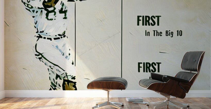 1966 Michigan State Spartans Football Art Wall Murals