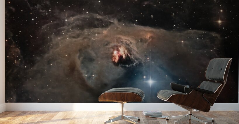 NGC 1555 Wall Murals