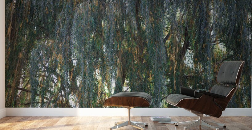 Weeping Willow Near a Stream Wall Murals