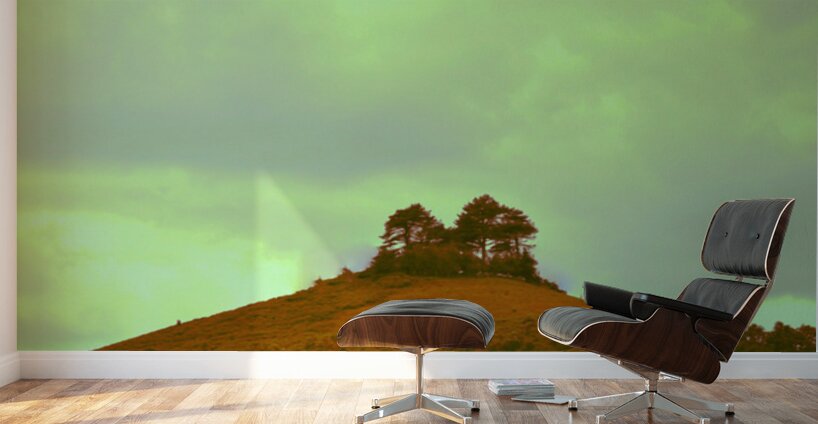 jpt 555ghh Wall Murals