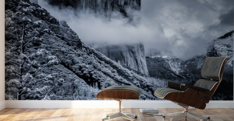 Yosemite El Capitan in Blue Wall Murals