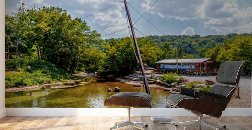 Rope Swing Big Spring Arkansas Wall Murals