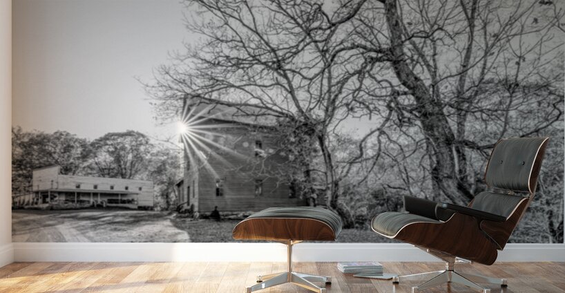 Evening Sunburst Topaz Mill Grayscale Wall Murals