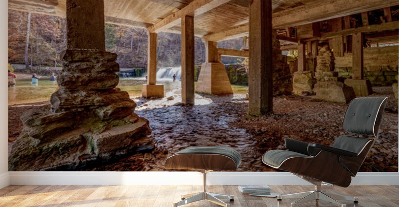 Underneath Rockbridge Mill Wall Murals