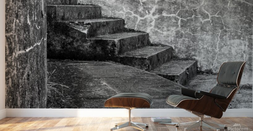 Cape Disappointment Battery 247 steps in B&W Wall Murals