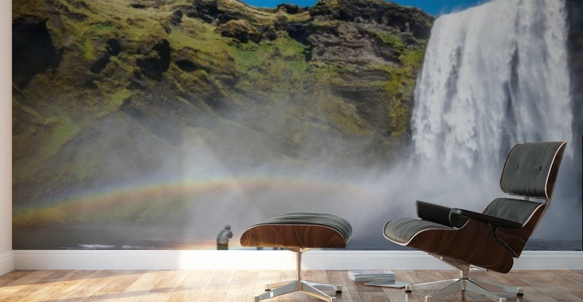 Dancing in Rainbows Wall Murals