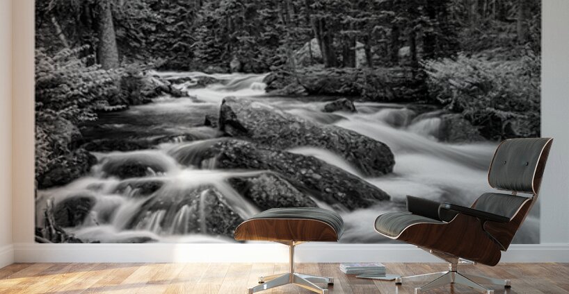 Cascade of Silver Silence Roosevelt Forest Wall Murals