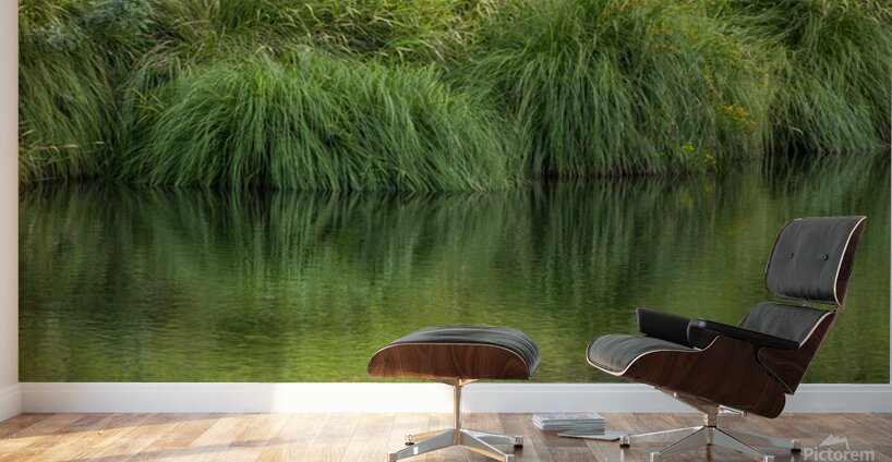 Dramatic green reflections of riverside plants Wall Murals