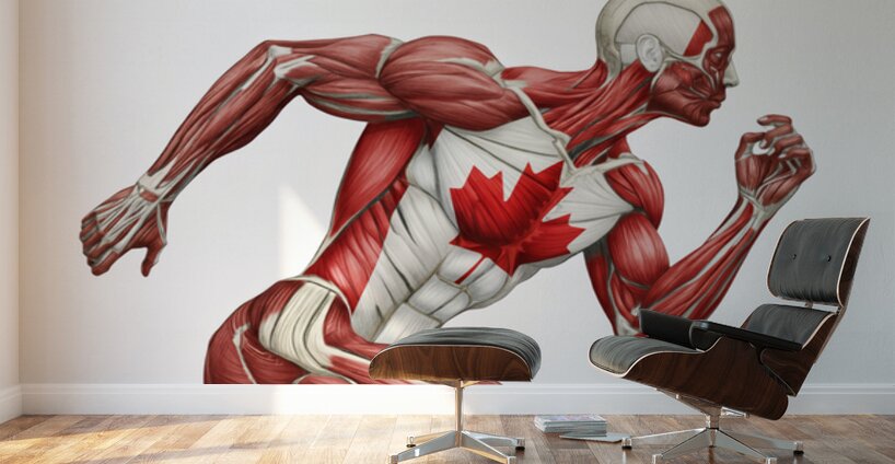 Canadian Strength — Anatomy of Motion Wall Murals