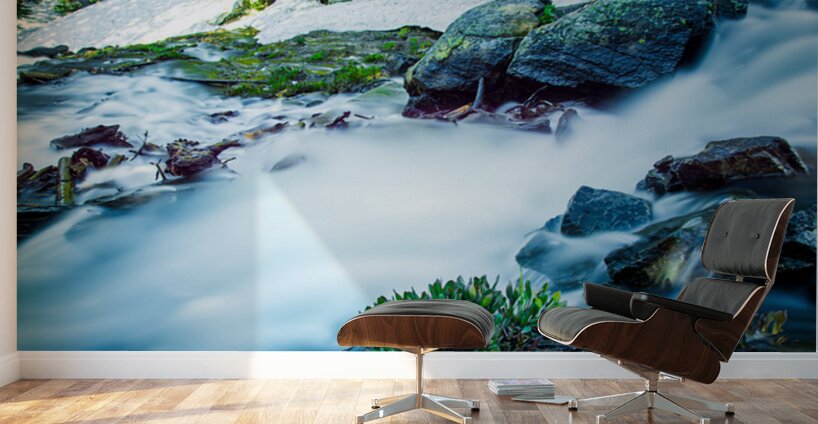 Small Stream From Snow Melt In Rocky Mountain National Park Colo Wall Murals