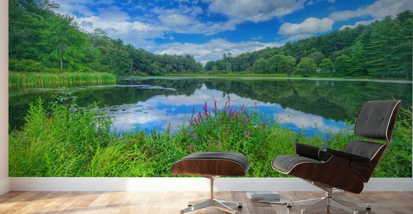 08Aug Eastbury Pond Wall Murals