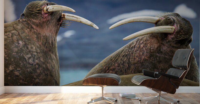 SIBLING QUARRELS Impression murale